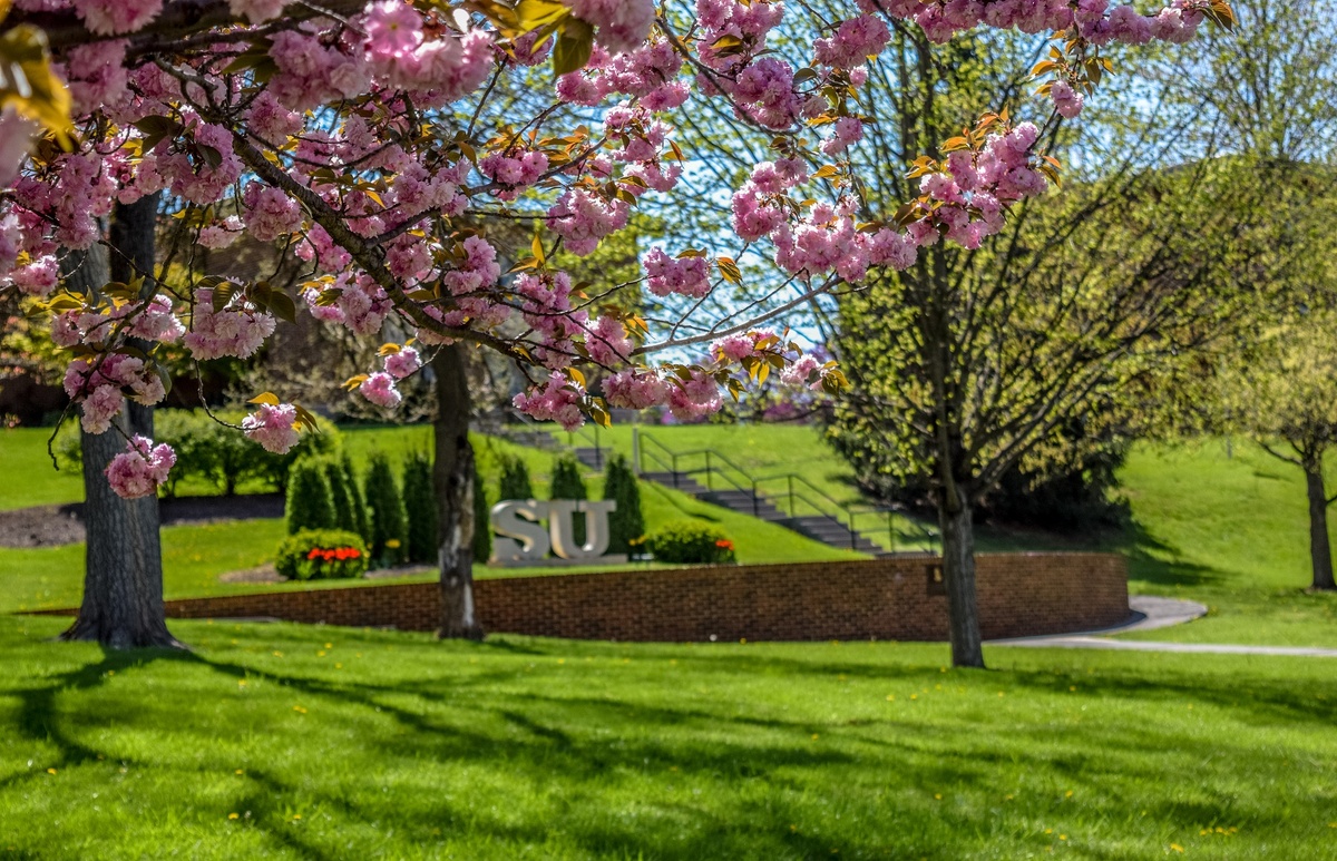 Shenandoah University
