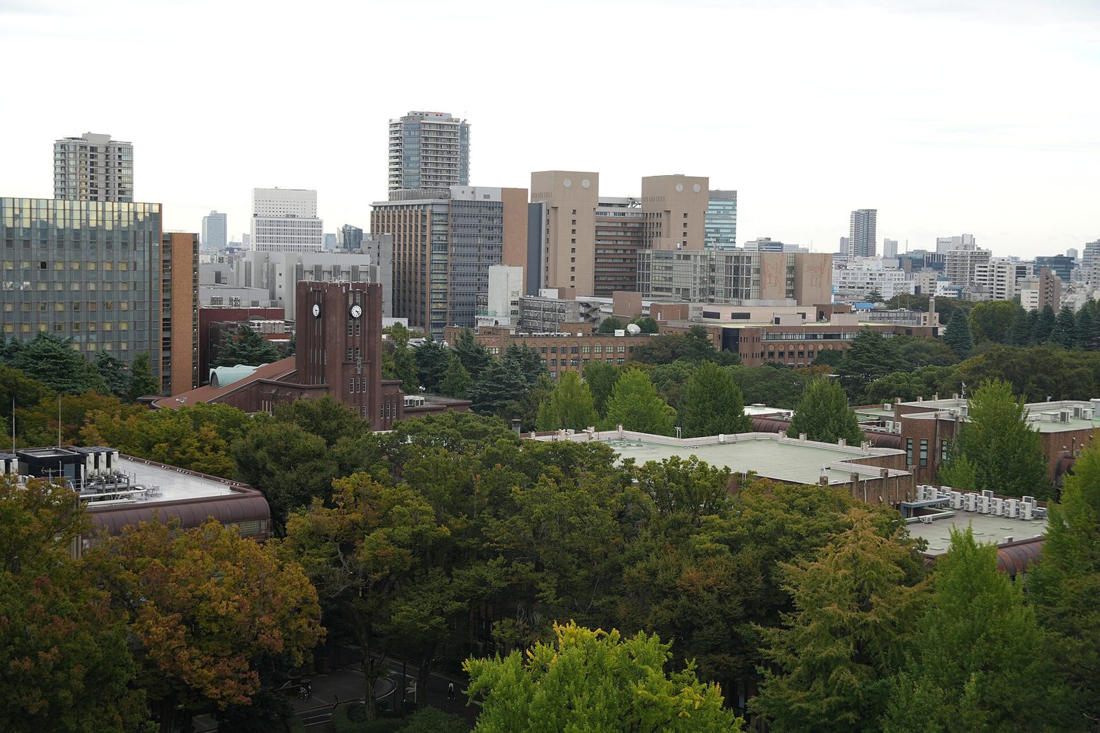 Hongo Campus