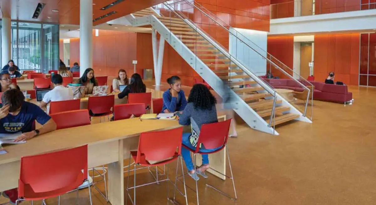 Adelphi University - Gallery