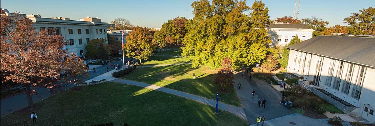American University - Gallery
