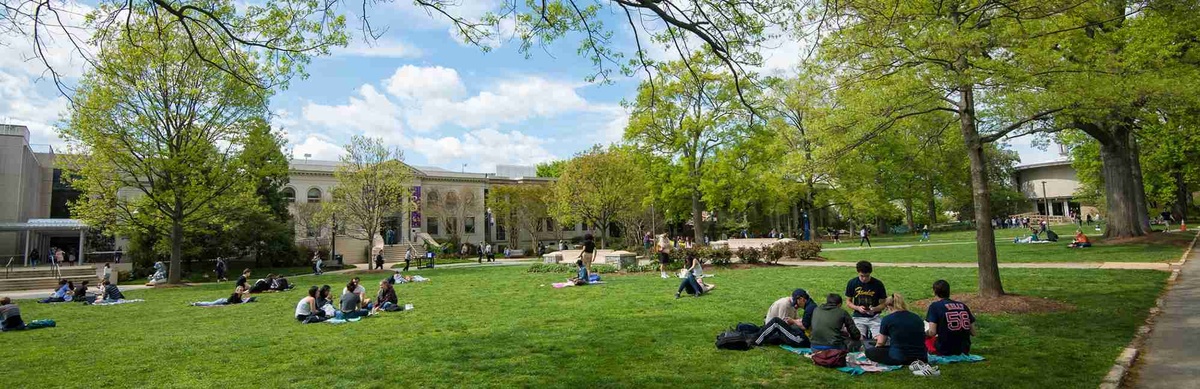 American University - Gallery