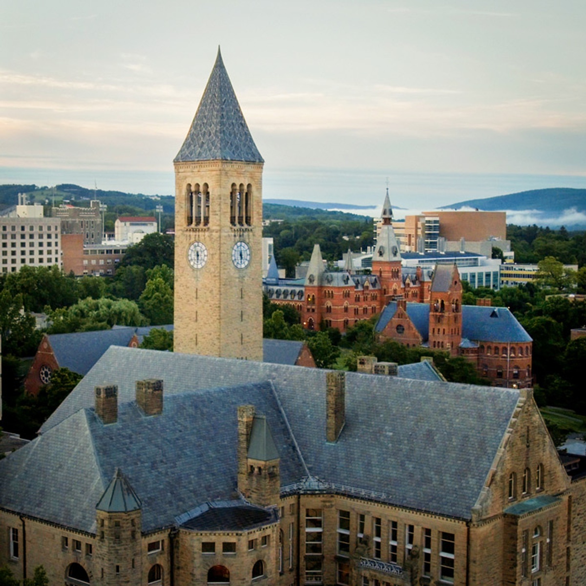 Cornell University - Gallery