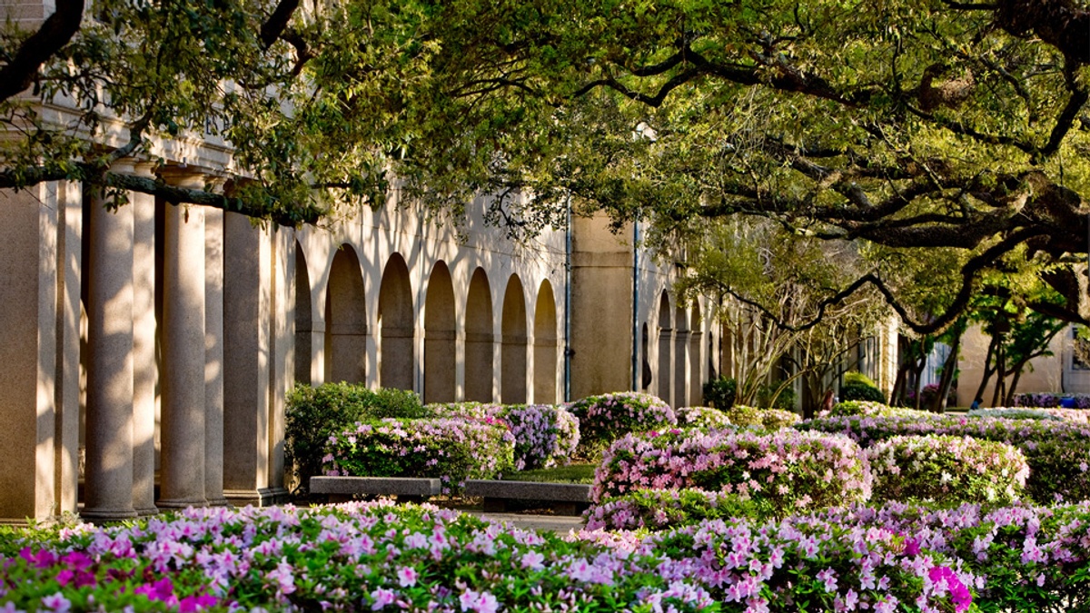 Louisiana State University - Gallery