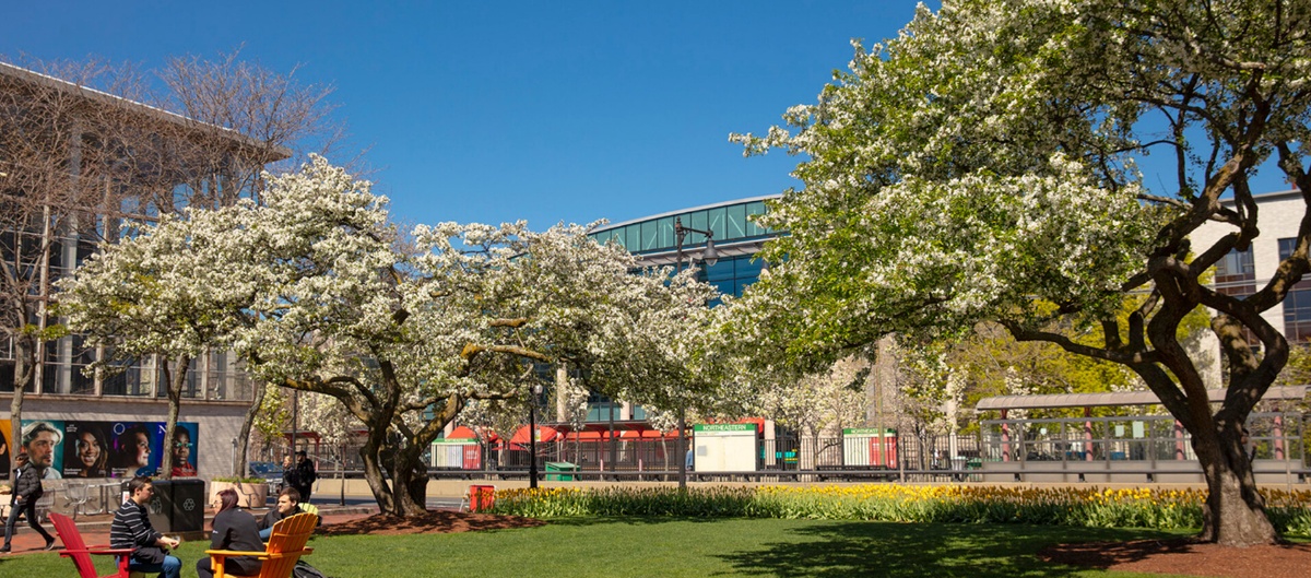 Northeastern University - Gallery