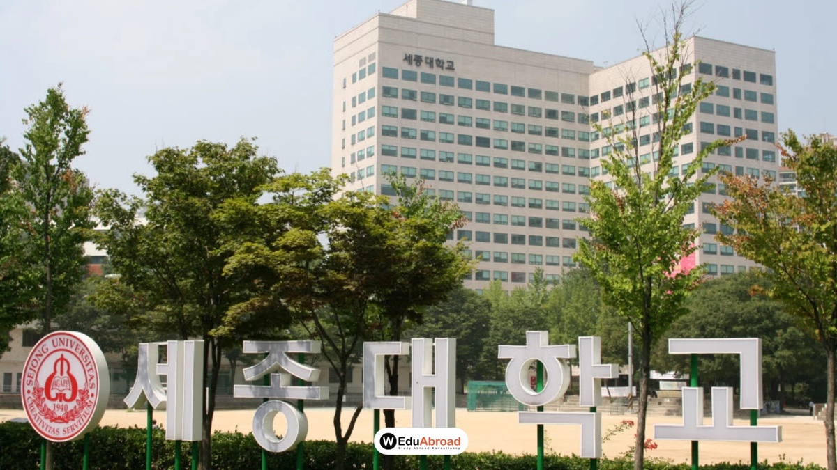 Sejong University - Gallery