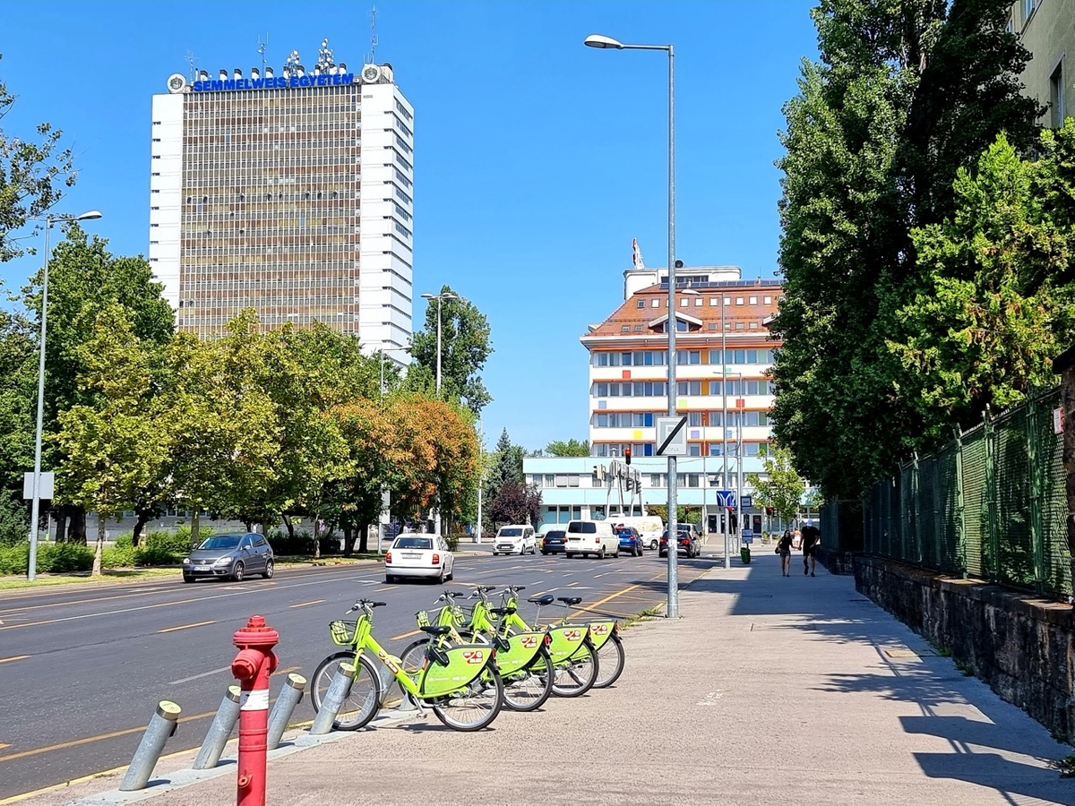 Semmelweis University - Gallery