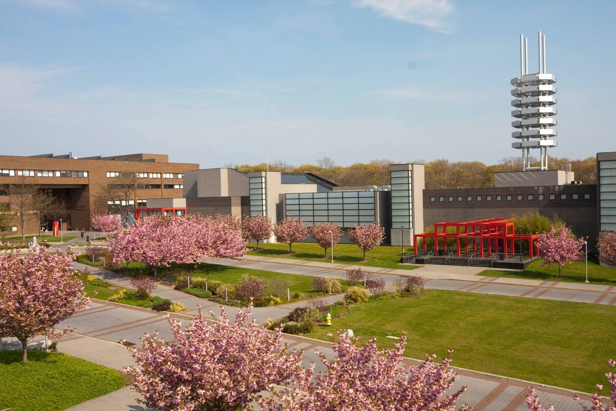 Stony Brook University - Gallery