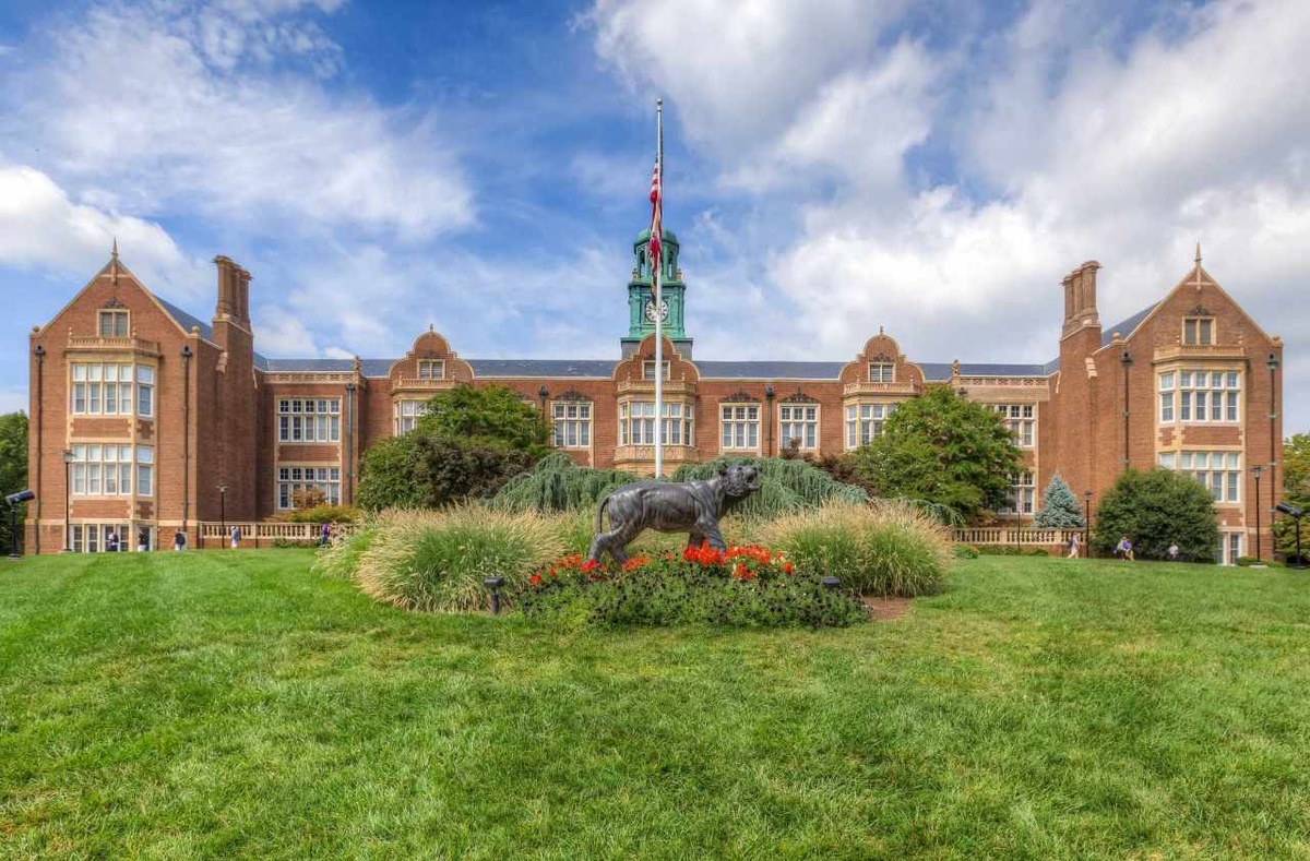 Towson University - Gallery