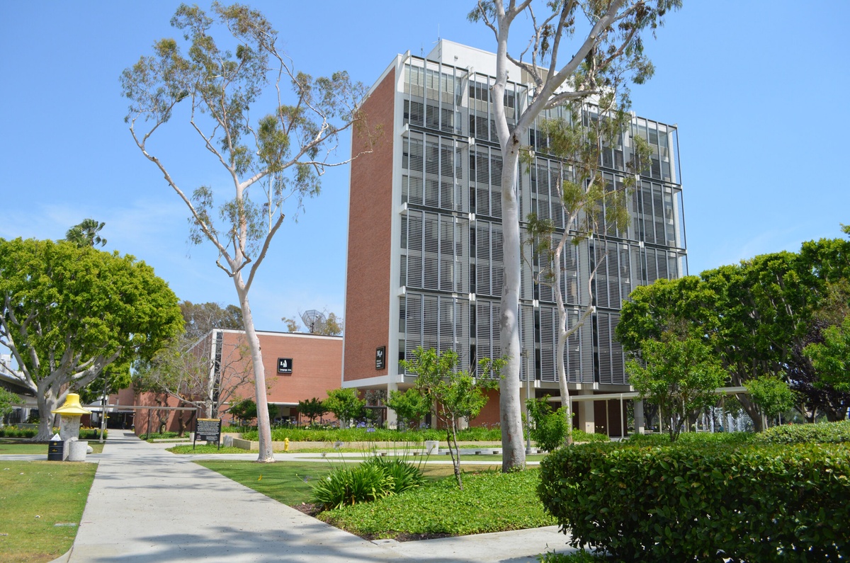 California State University - Gallery