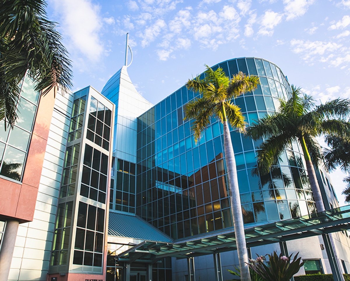 Florida Atlantic University - Gallery
