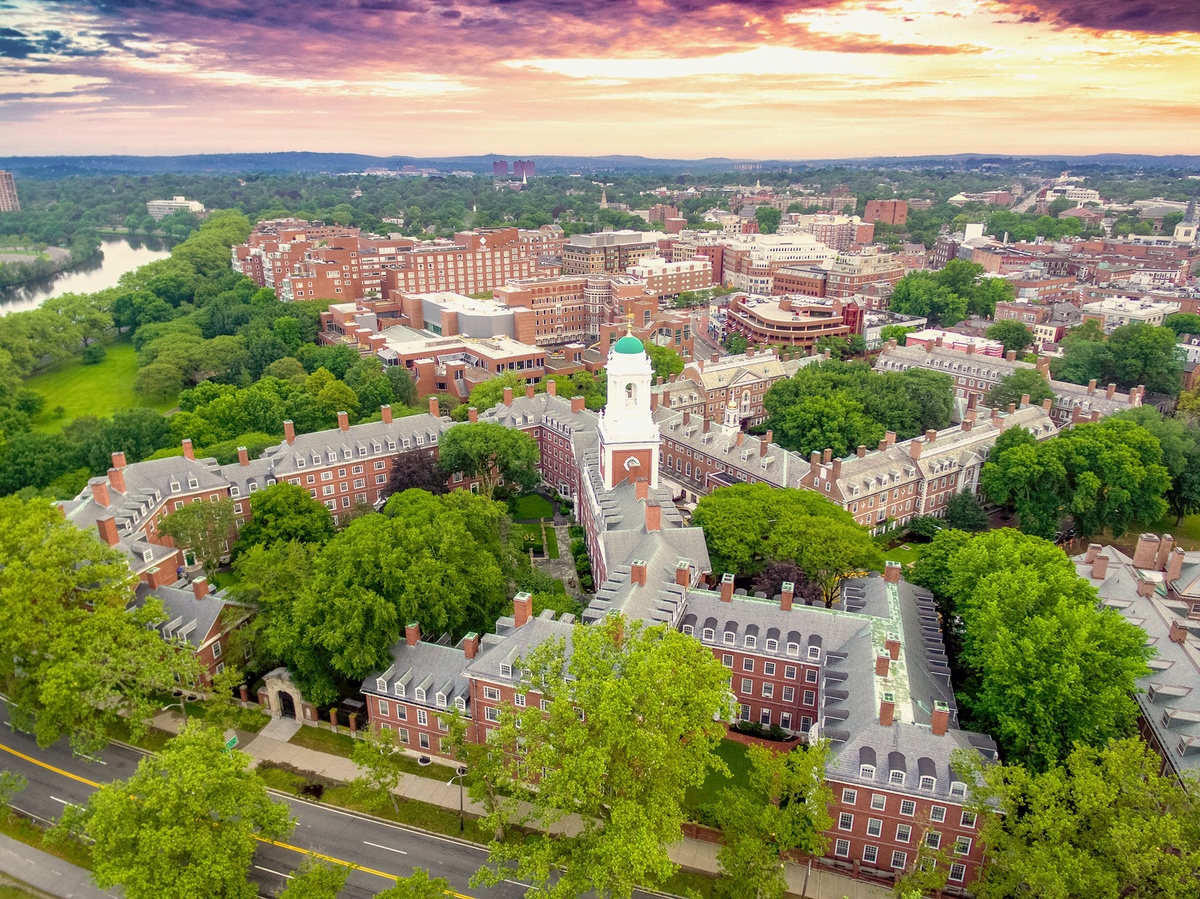 Harvard University - Gallery