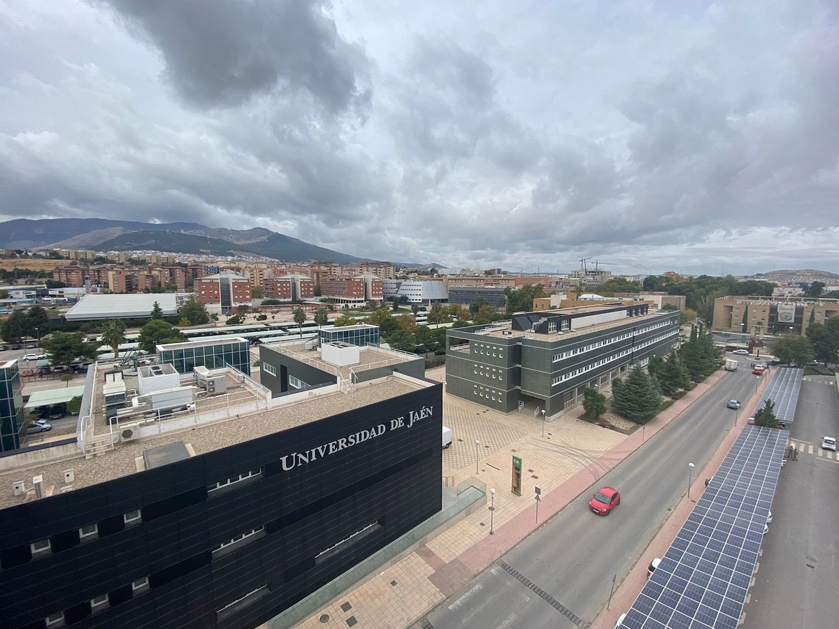 Jaen university - Gallery
