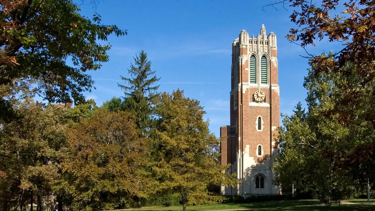 Michigan State University - Gallery