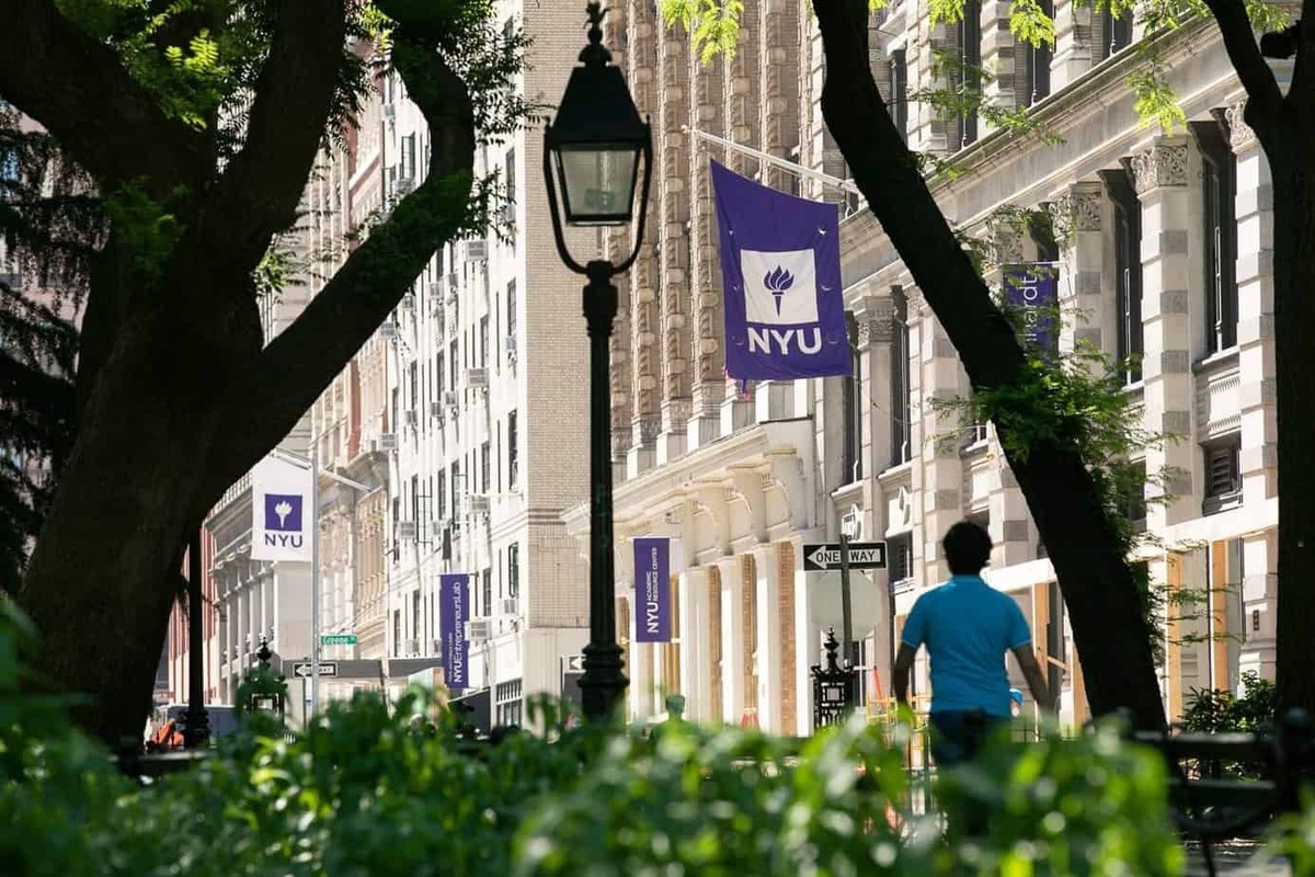 New York University - Gallery