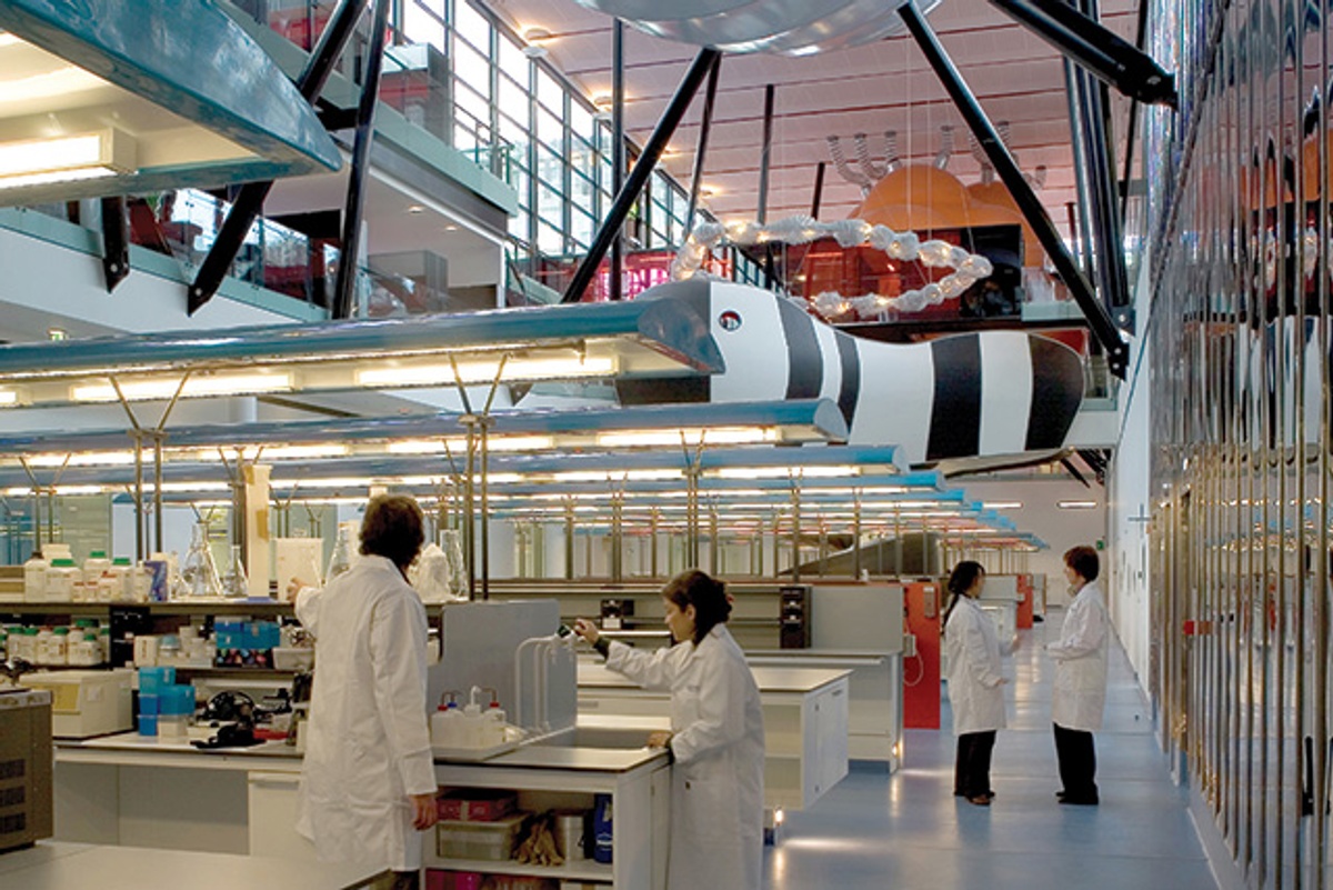 Queen Mary University of London - Gallery