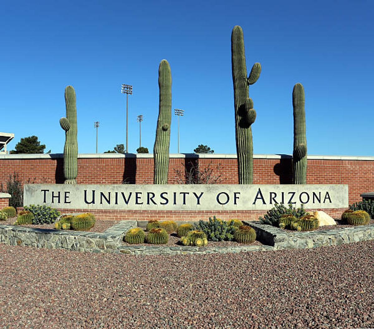 The University of Arizona - Gallery