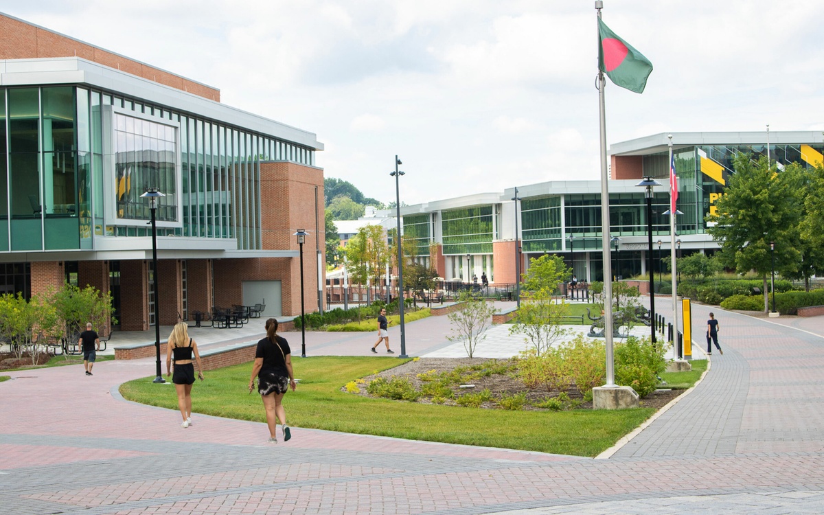 Towson University - Gallery