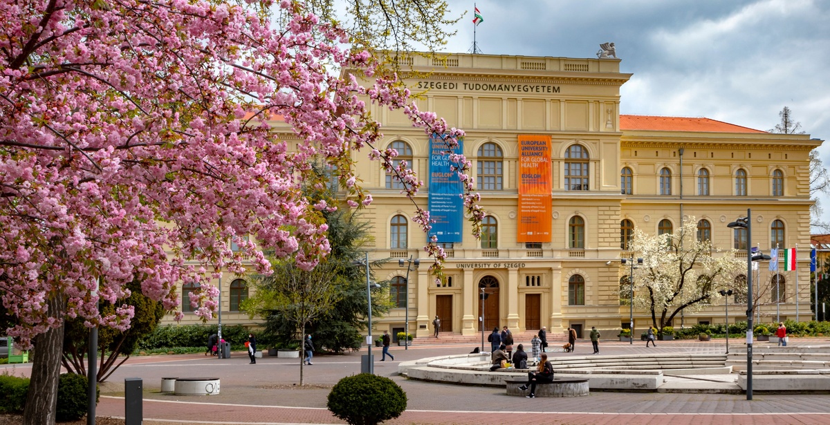 University of Szeged - Gallery