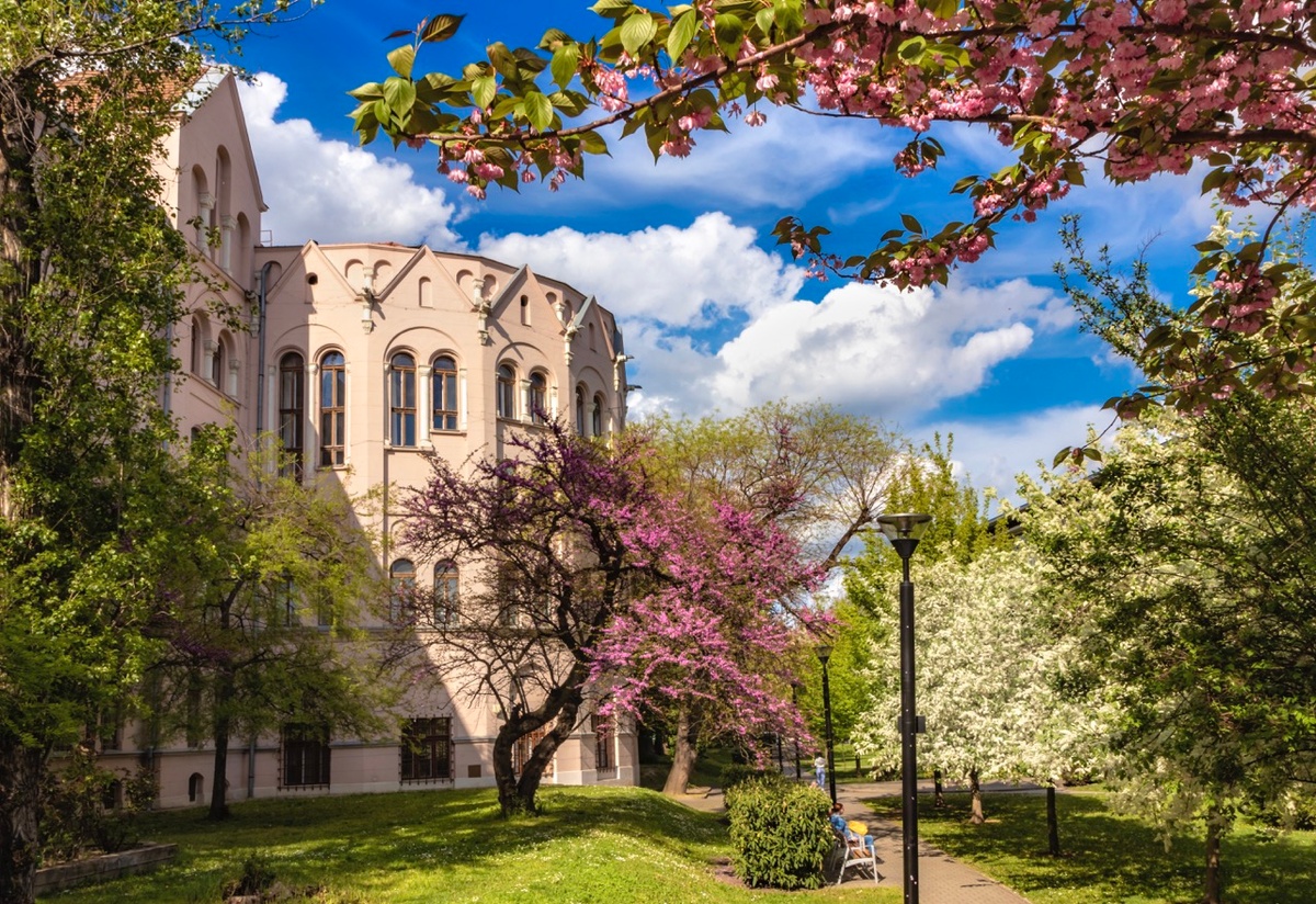 University of Szeged - Gallery