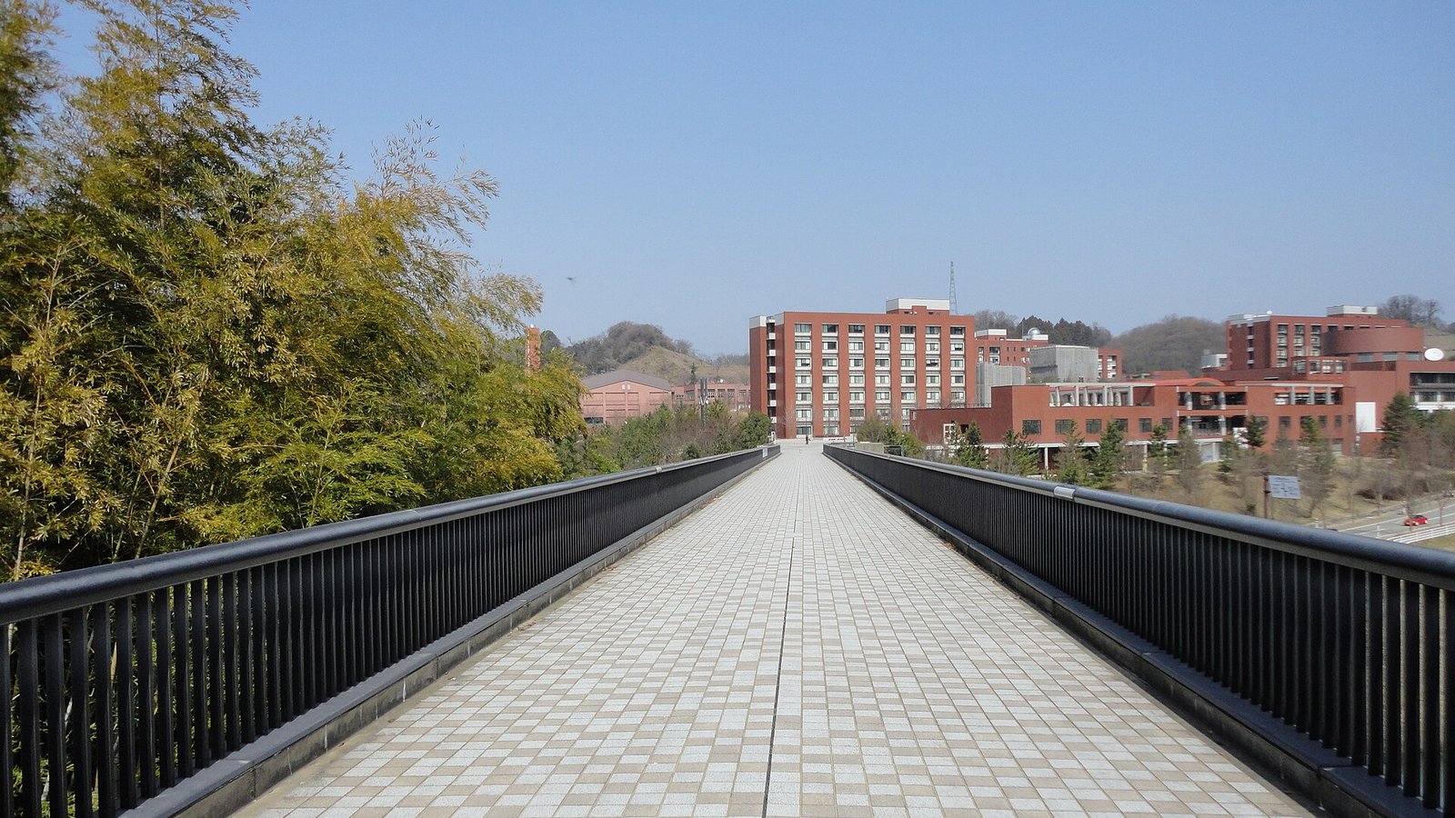 Kanazawa University — photo 2