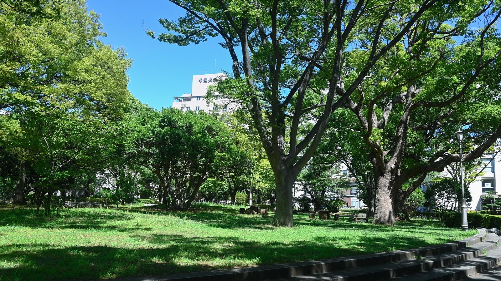 Chiba University — photo 2