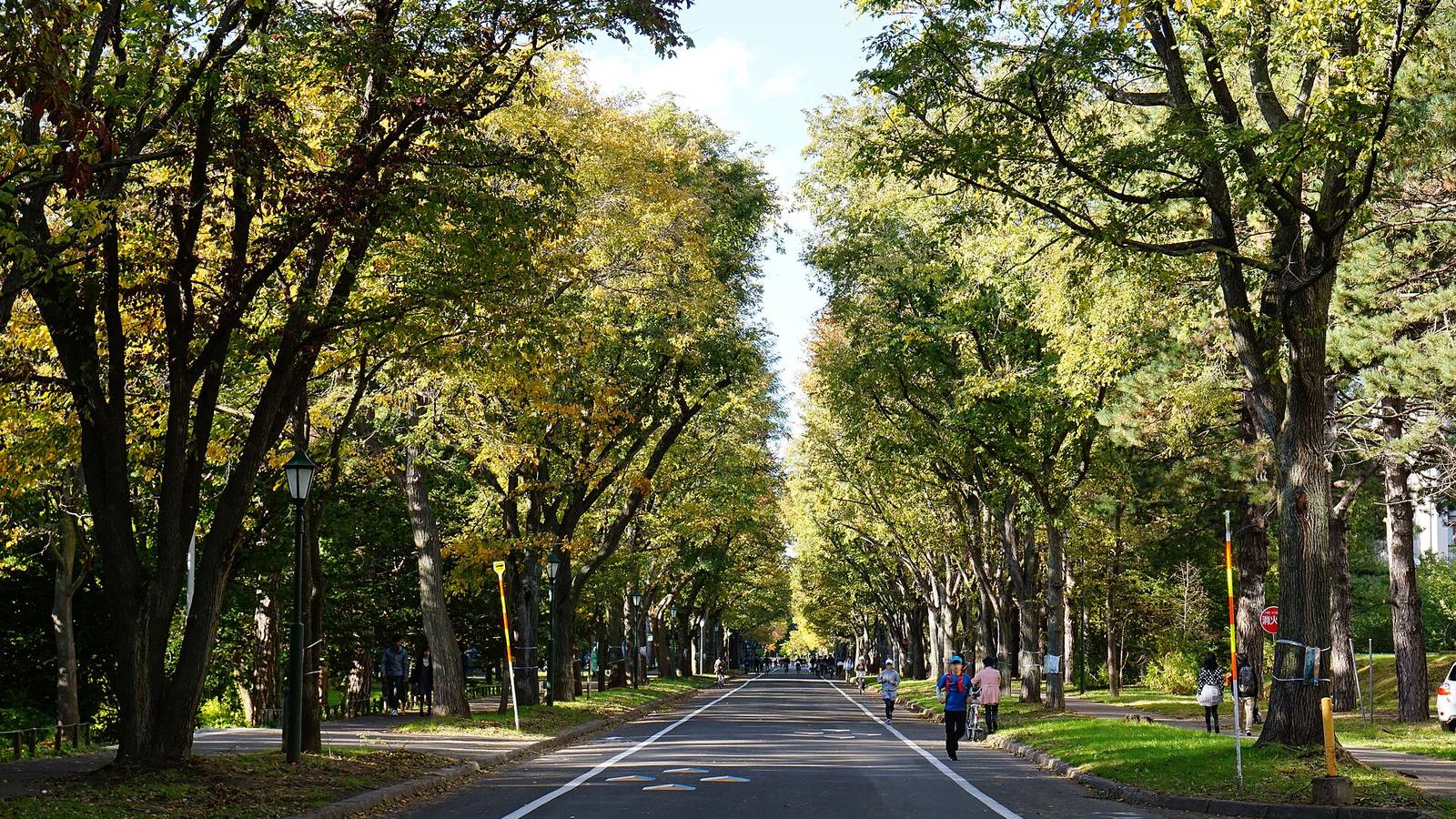 Hokkaido University — photo 2