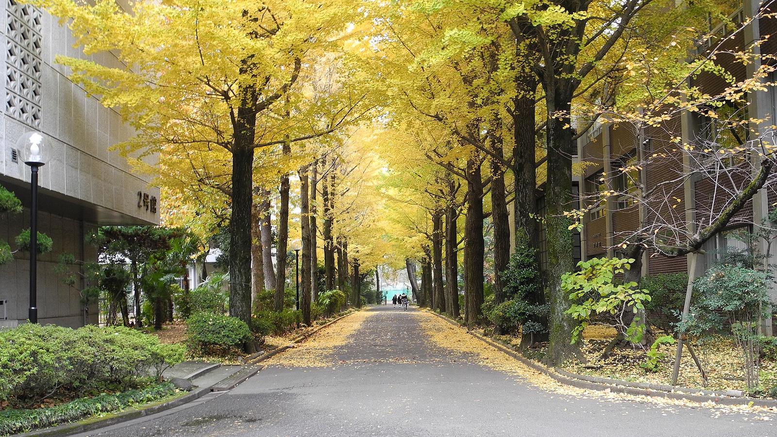 Musashino University — photo 2
