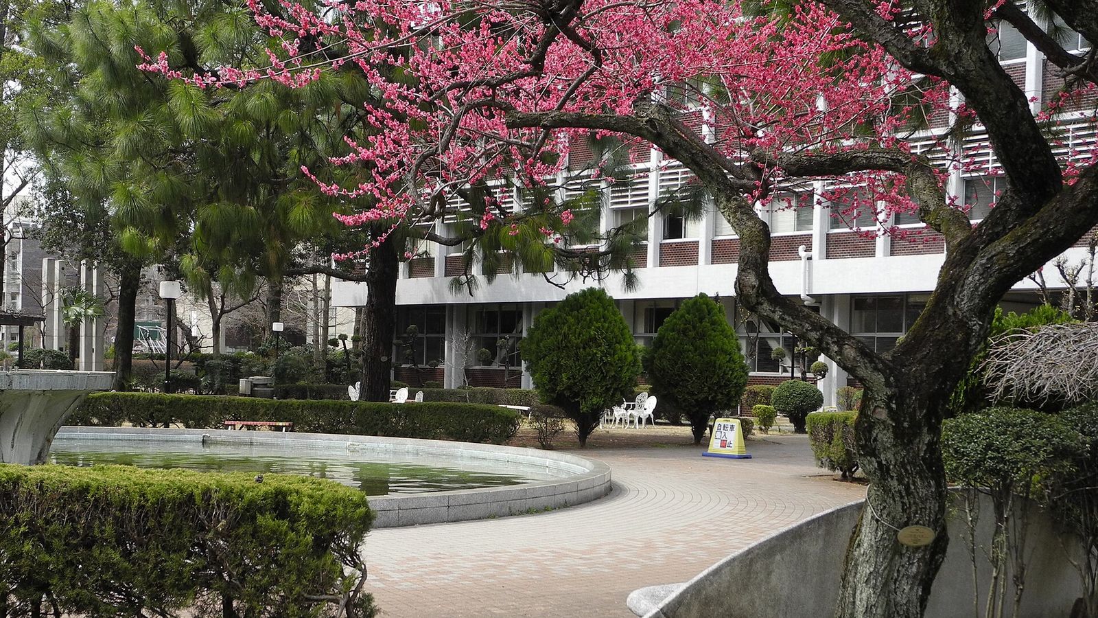 Musashino University — photo 3