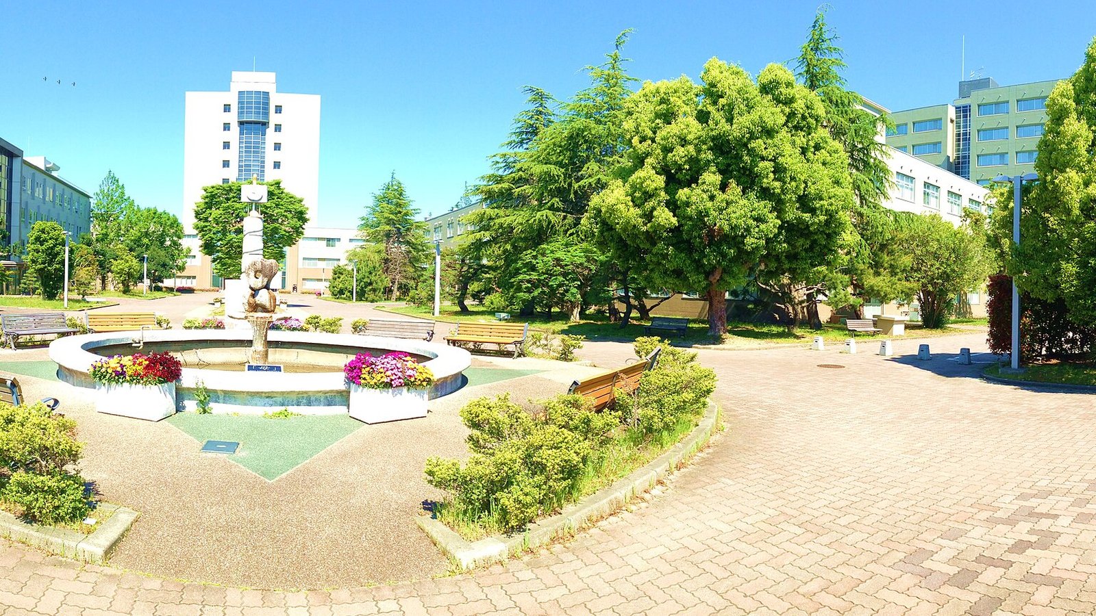 Shizuoka University