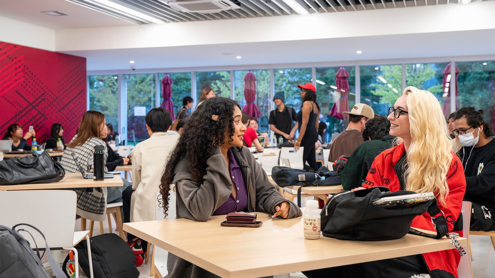 Temple University, Japan Campus — photo 3