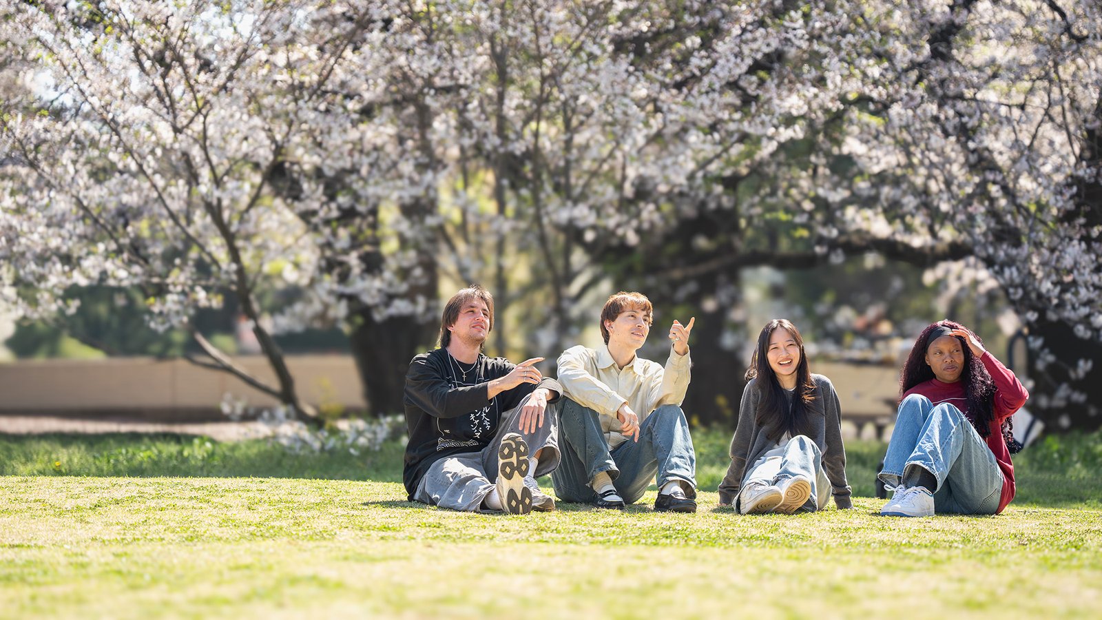Temple University, Japan Campus — photo 2