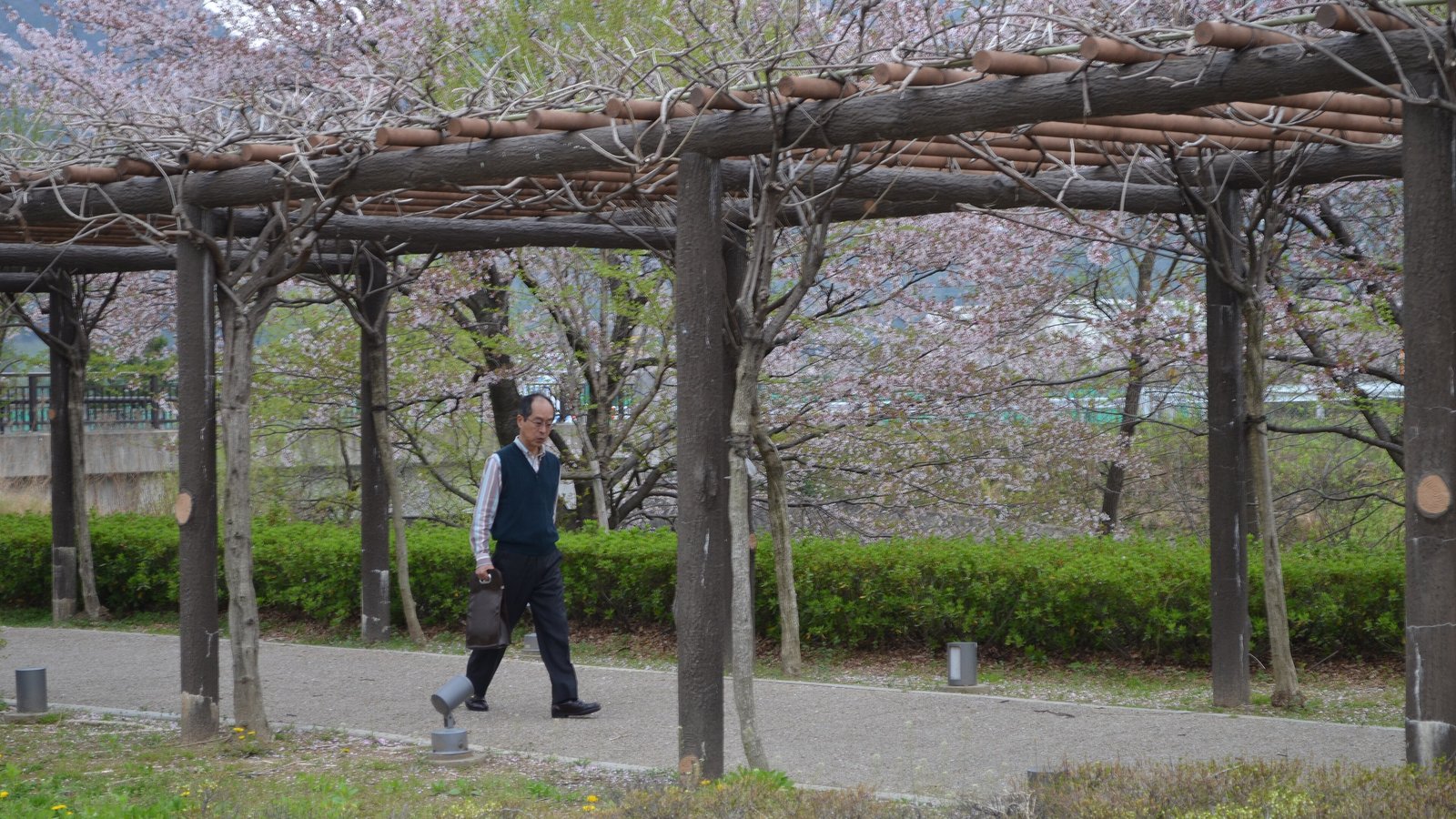 Gifu University — photo 3