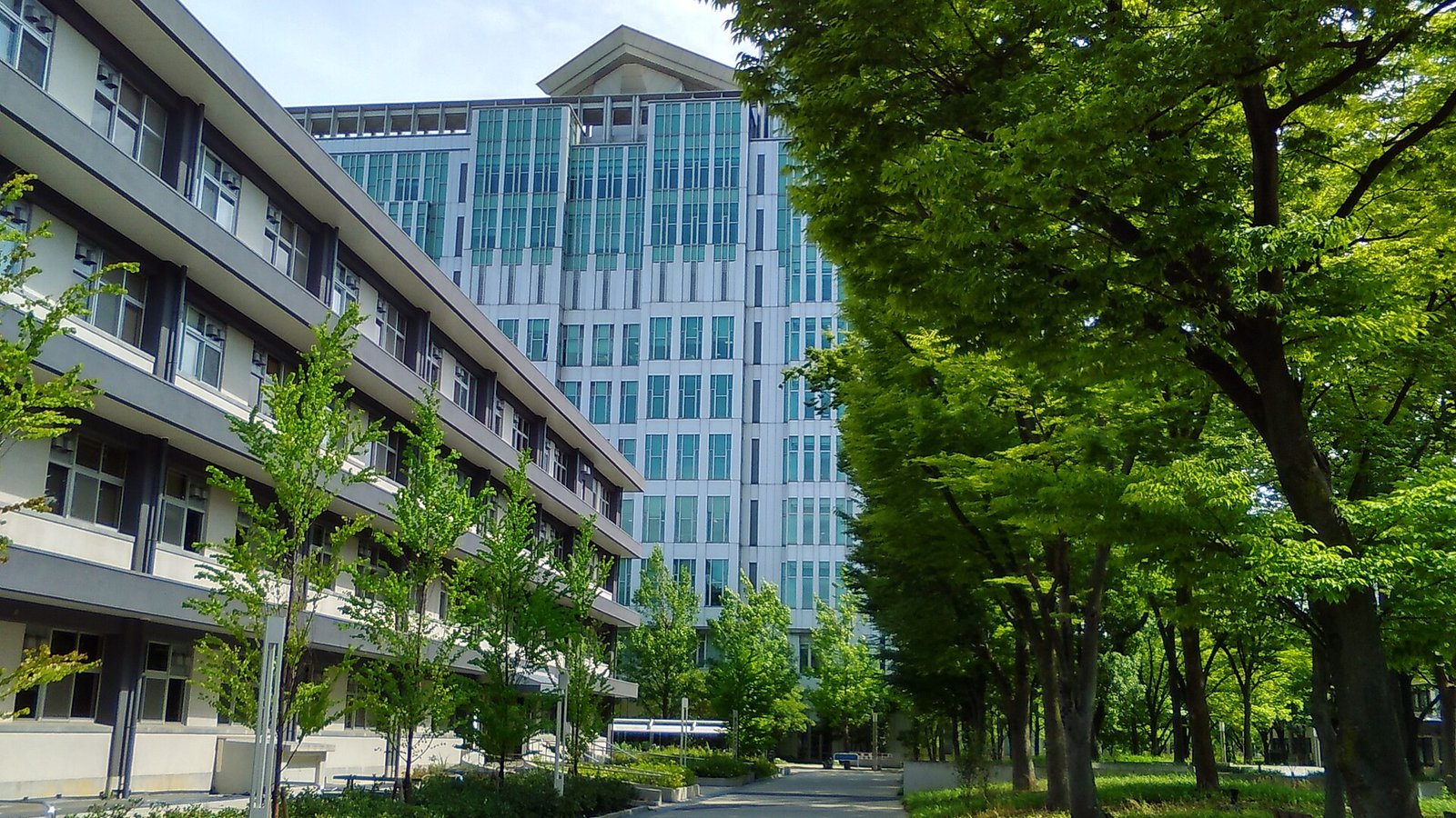 Osaka Metropolitan University — photo 3