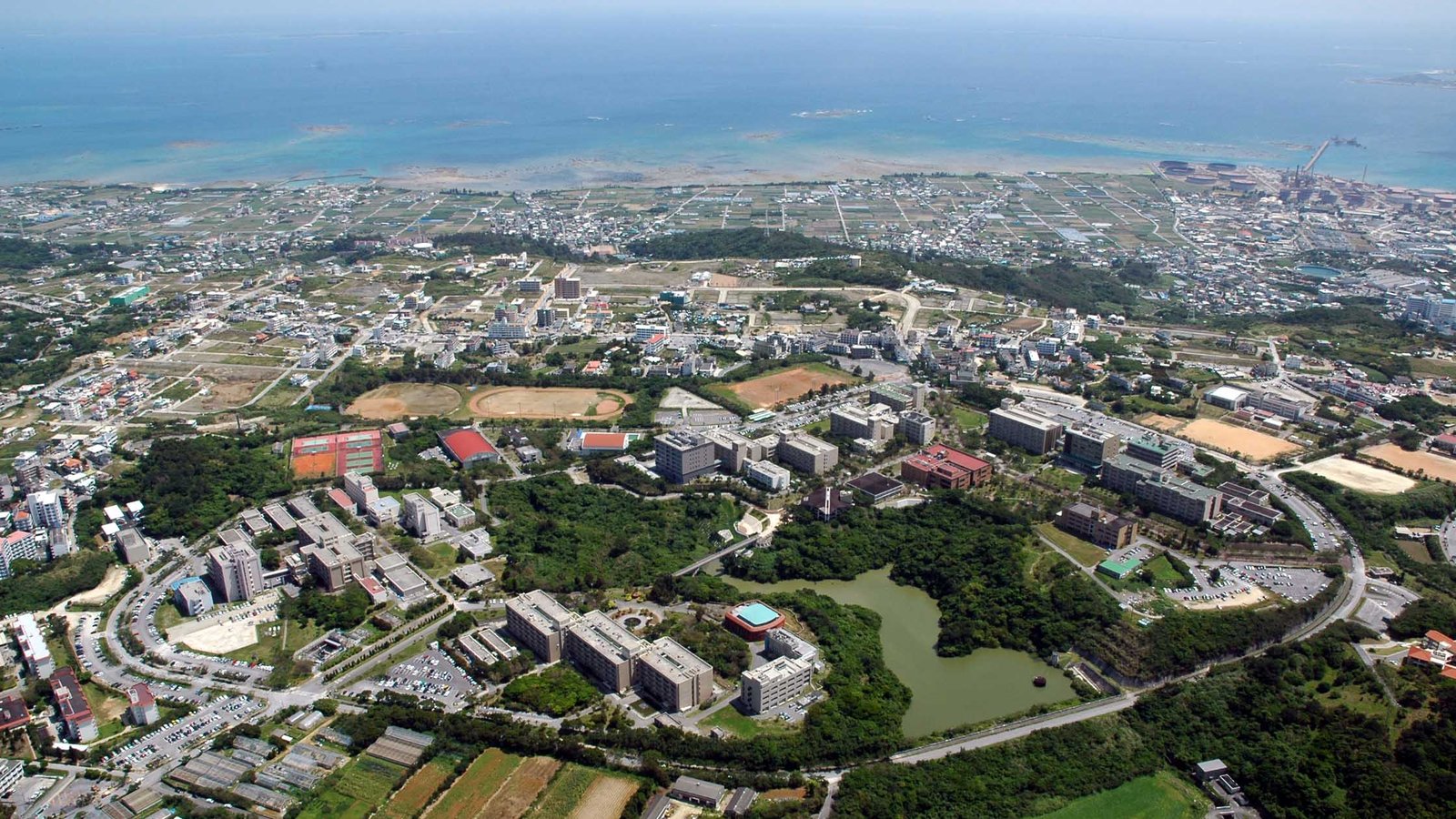 University of the Ryukyus