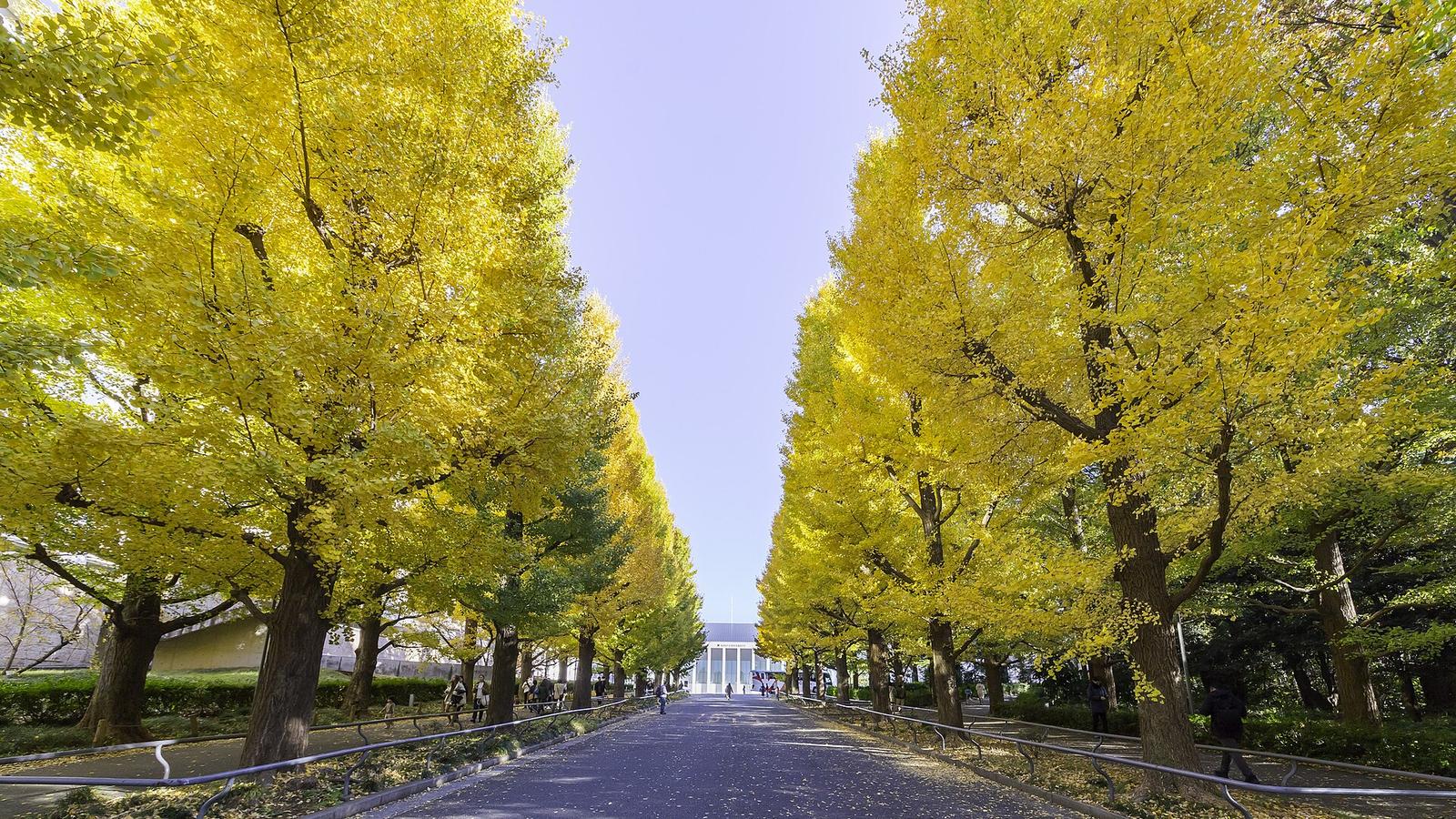 Keio University — photo 3