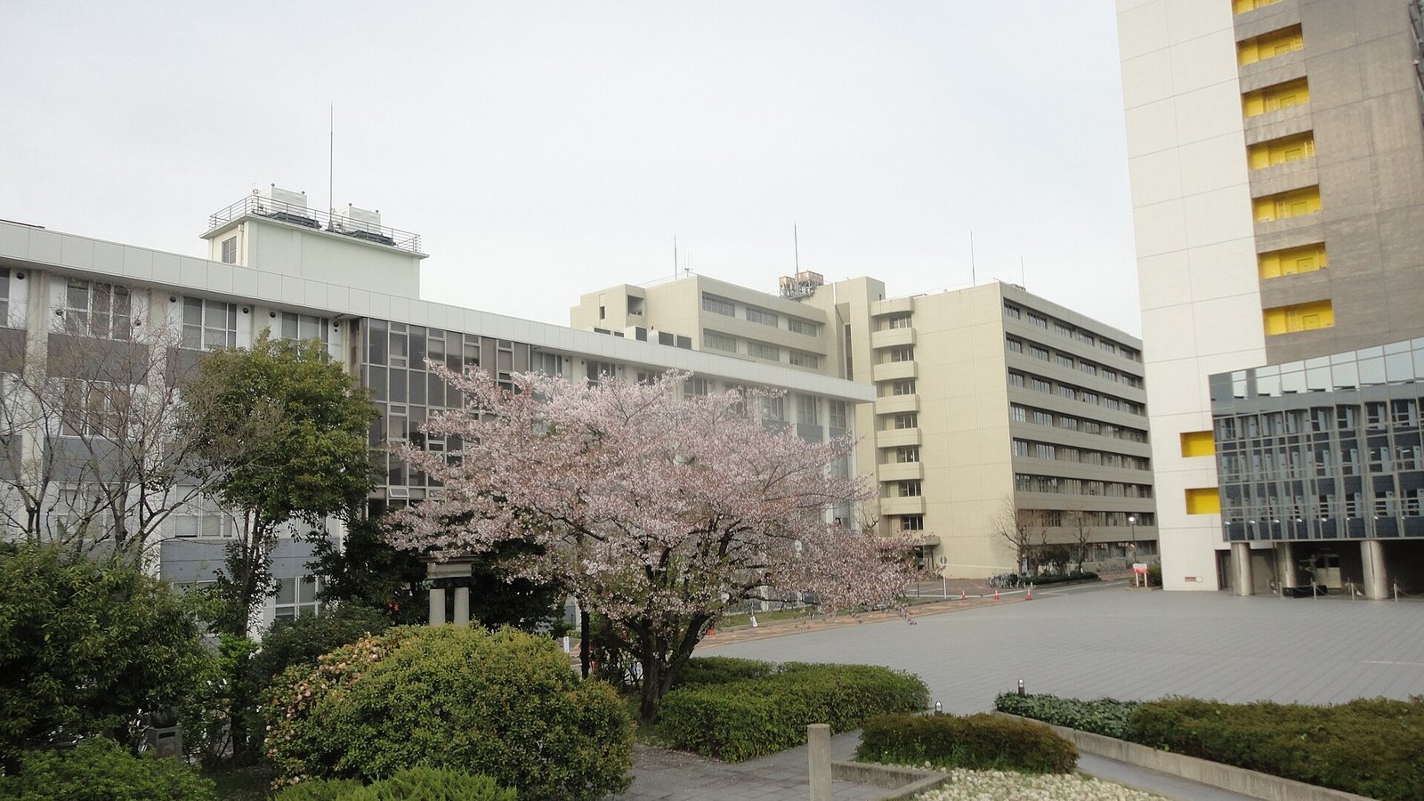 Nagoya Institute of Technology — photo 2