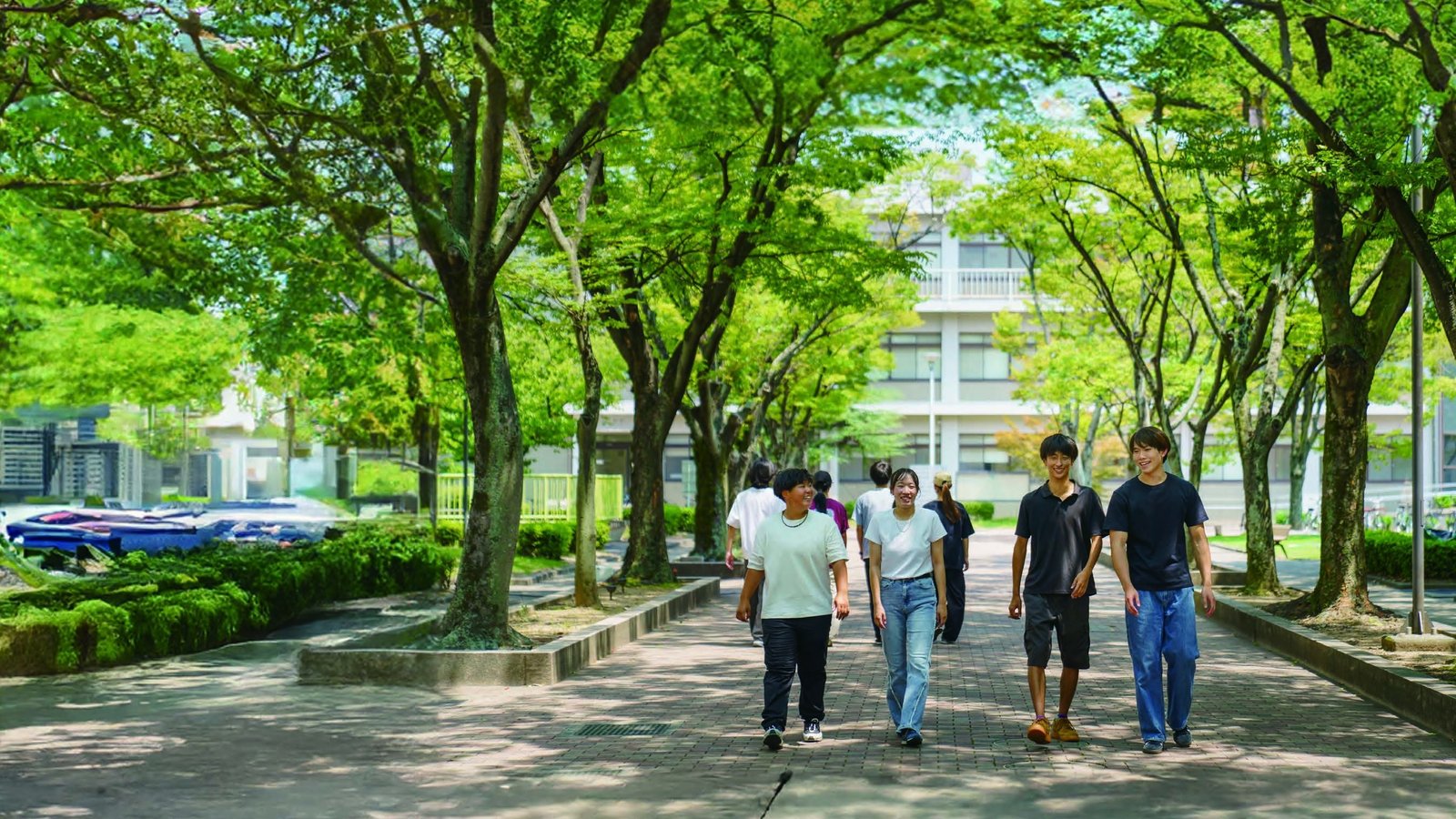 Tokushima University — photo 2